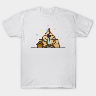 Splash Mountain Theme Park Ride T-Shirt